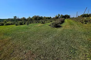 16385 310th St, Shafer Twp, MN 55012 - Photo 41