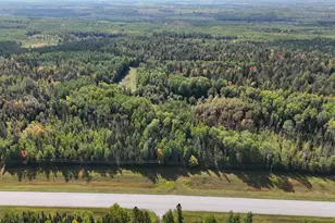 Tbd 25 Hwy 53, Kabetogama, MN 56669 - Photo 1