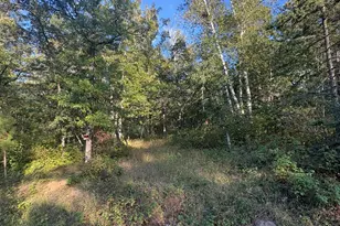 Tbd Elm Trail, Nevis, MN 56467 - Photo 1