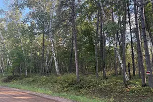 Tbd Evergreen Dr, Nevis, MN 56467 - Photo 1