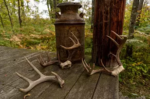 Tbd-200Ac 250th Ave, Ann Lake Township, MN 55051 - Photo 1