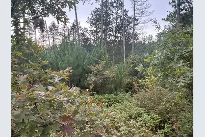 Tbd Hayden Lake Road, Danbury, WI 54830 - Photo 1