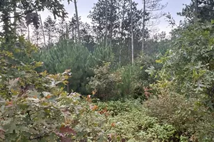 Tbd Hayden Lake Rd, Danbury, WI 54830 - Photo 1