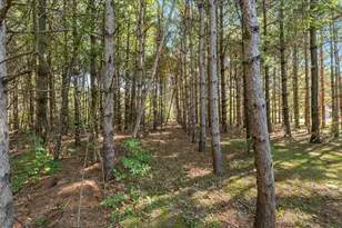 3411 Pawnee Dr SE, Alexandria, MN 56308 - Photo 55