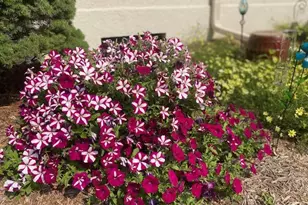 24555 Hwy 61, Winona, MN 55987 - Photo 45