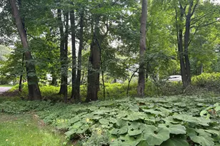 1426 Holdridge Cir, Wayzata, MN 55391 - Photo 19