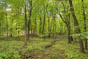 1426 Holdridge Cir, Wayzata, MN 55391 - Photo 21