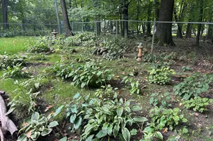 1426 Holdridge Cir, Wayzata, MN 55391 - Photo 15