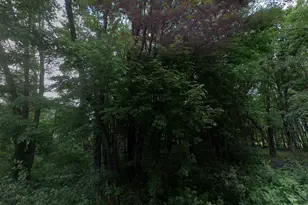 17307 Hiawatha Beach Dr, Ham Lake, MN 55304 - Photo 1