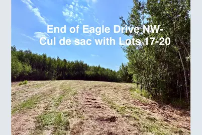 Tbd Eagle Dr NW, Baudette, MN 56623 - Photo 25