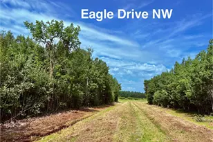Tbd Eagle Dr NW, Baudette, MN 56623 - Photo 1