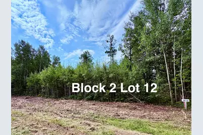 Tbd Eagle Dr NW, Baudette, MN 56623 - Photo 17