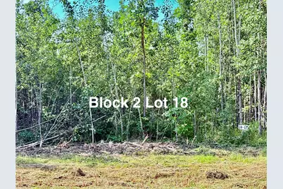 Tbd Eagle Dr NW, Baudette, MN 56623 - Photo 27