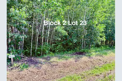Tbd Eagle Dr NW, Baudette, MN 56623 - Photo 35