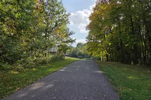 1449 3 1/2 Ave, Dallas, WI 54733 - Photo 63