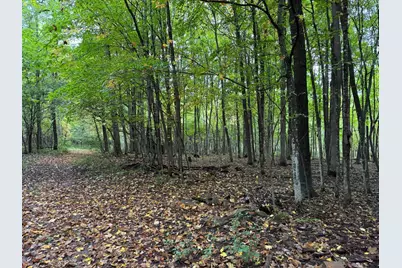 1449 3 1/2 Avenue, Dallas, WI 54733 - Photo 55