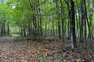 1449 3 1/2 Ave, Dallas, WI 54733 - Photo 55