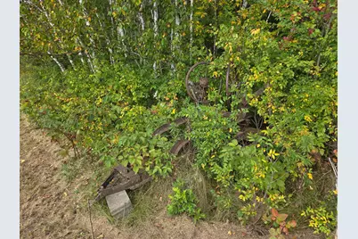 1449 3 1/2 Avenue, Dallas, WI 54733 - Photo 47