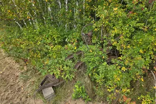 1449 3 1/2 Ave, Dallas, WI 54733 - Photo 47