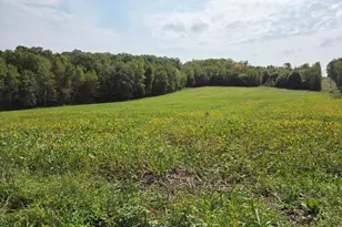 1449 3 1/2 Ave, Dallas, WI 54733 - Photo 53