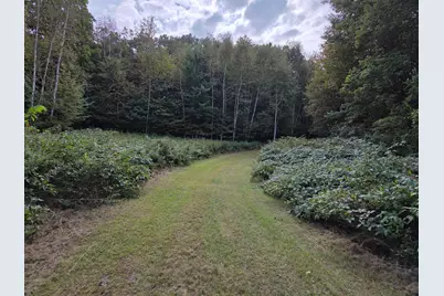 1449 3 1/2 Avenue, Dallas, WI 54733 - Photo 43