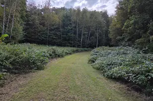 1449 3 1/2 Ave, Dallas, WI 54733 - Photo 43