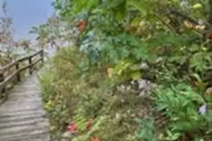 20451 485th St, McGregor, MN 55760 - Photo 39