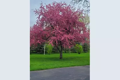 17395 540th Avenue, Austin, MN 55912 - Photo 25