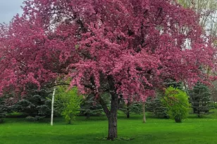 17395 540 Ave, Austin, MN 55912 - Photo 25