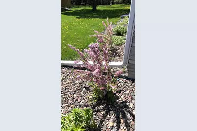 309 2nd Court SE, Grand Meadow, MN 55936 - Photo 25