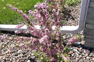 309 2nd Ct SE, Grand Meadow, MN 55936 - Photo 25