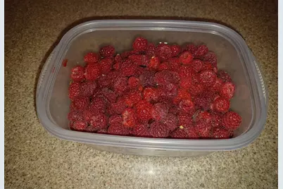 4838 Crown Lane, Woodbury, MN 55129 - Photo 71