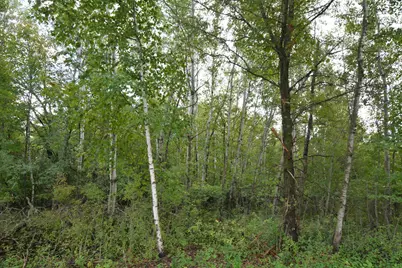 Tbd 130th Avenue, Milaca, MN 56353 - Photo 9