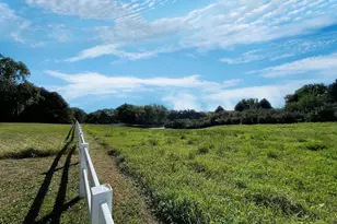 18375 Co Rd 4, Springfield, MN 56087 - Photo 5