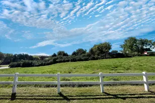 18375 Co Rd 4, Springfield, MN 56087 - Photo 71