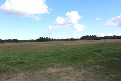 25871 164th Street, Staples, MN 56479 - Photo 7