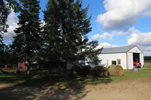 25871 164th St, Staples, MN 56479 - Photo 5