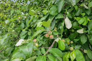 1755 Chateau Way, Minnetrista, MN 55359 - Photo 83