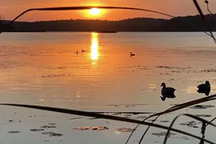 1755 Chateau Way, Minnetrista, MN 55359 - Photo 107