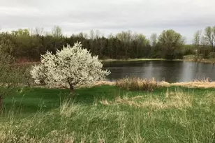 1755 Chateau Way, Minnetrista, MN 55359 - Photo 101