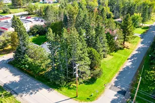 5316 Hwy 110, White Twp, MN 55705 - Photo 31