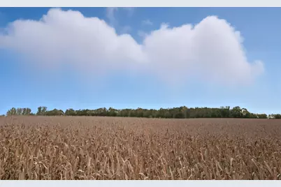 10703 187th Street, Rich Valley Twp, MN 55381 - Photo 45