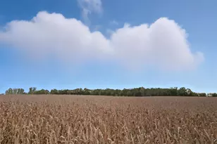 10703 187th St, Rich Valley Twp, MN 55381 - Photo 45