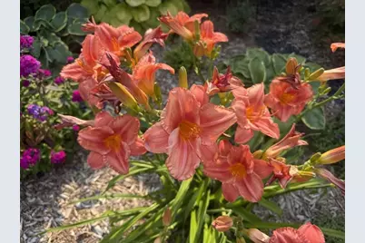 915 Lake Boulevard NE, Bemidji, MN 56601 - Photo 71