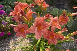 915 Lake Blvd NE, Bemidji, MN 56601 - Photo 71