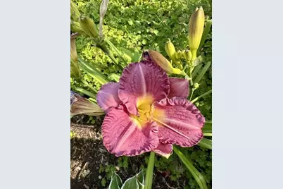 915 Lake Boulevard NE, Bemidji, MN 56601 - Photo 73