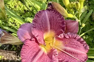 915 Lake Blvd NE, Bemidji, MN 56601 - Photo 73