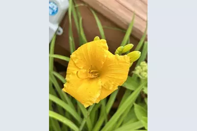 915 Lake Boulevard NE, Bemidji, MN 56601 - Photo 75