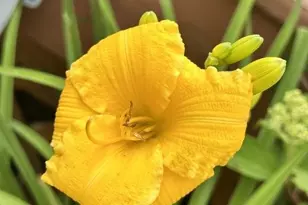 915 Lake Blvd NE, Bemidji, MN 56601 - Photo 75