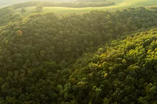 32979 County Rd 1, La Crescent, MN 55947 - Photo 97